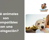 ¿Qué animales son incompatibles con una homologación?