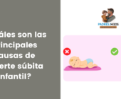 ¿Cuáles son las principales causas de muerte súbita infantil?